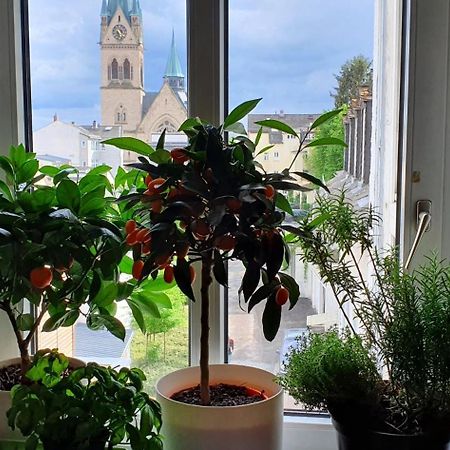 Von Privat, Grosses Zimmer Sehr Zentral In Bad Homburg Stadtmitte Bad Homburg vor der Höhe Exteriör bild