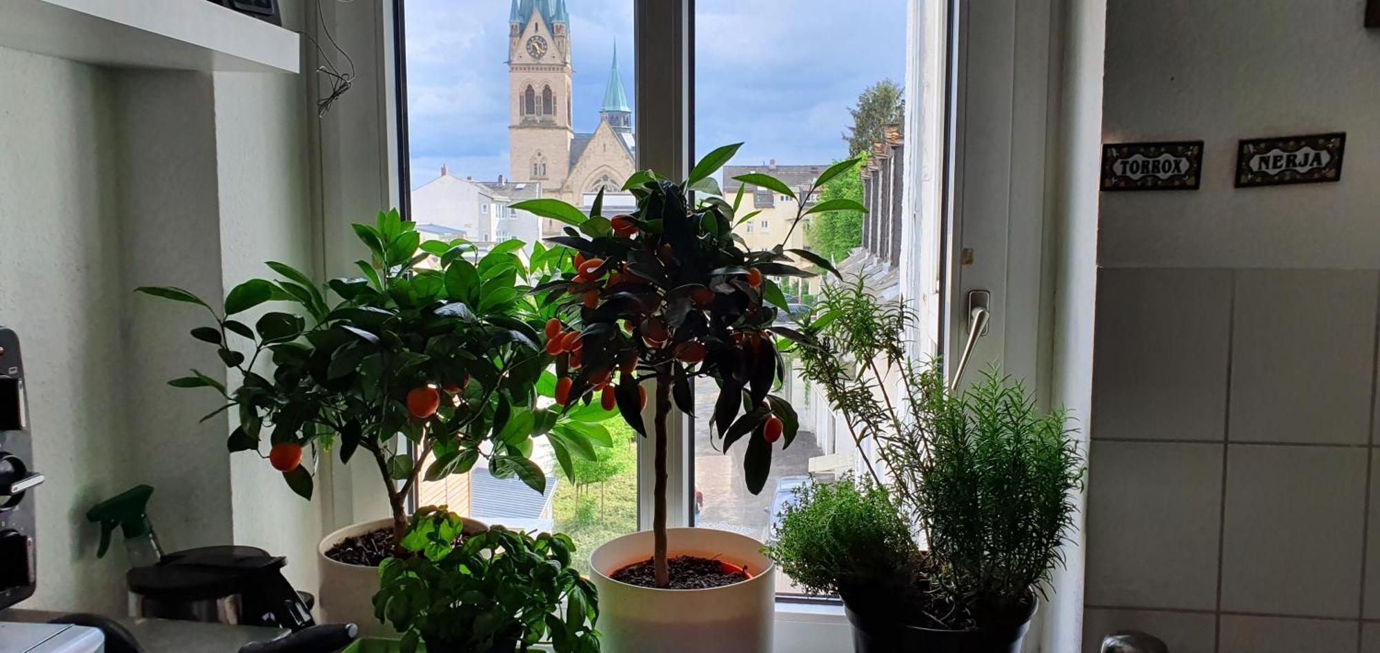 Von Privat, Grosses Zimmer Sehr Zentral In Bad Homburg Stadtmitte Bad Homburg vor der Höhe Exteriör bild